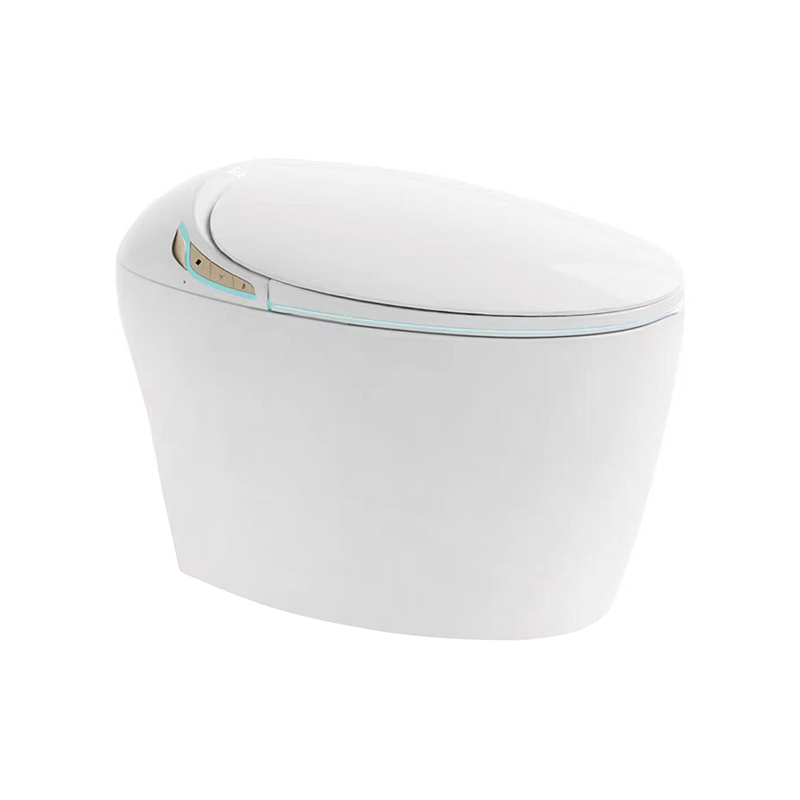 M069智能马桶(029)
