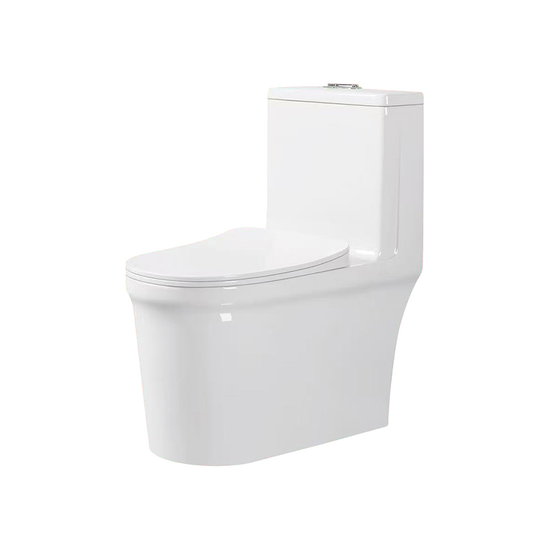 M062回漩虹吸(6656)