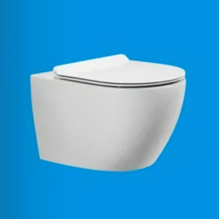 M071挂便器(T01)